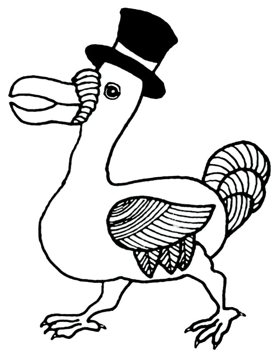 Free shipping on all lampshades & cushions